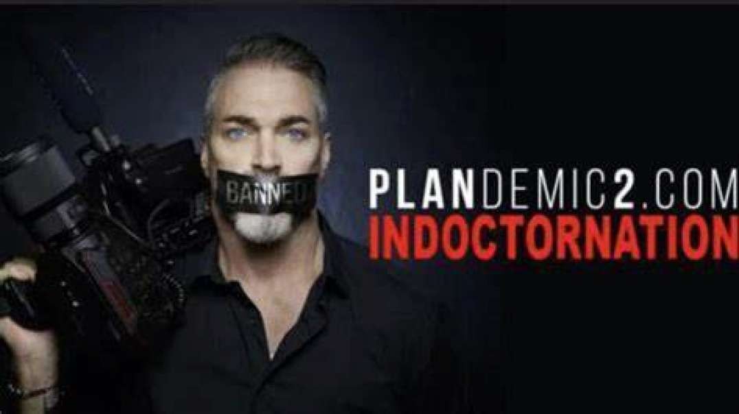 Plandemic p 2