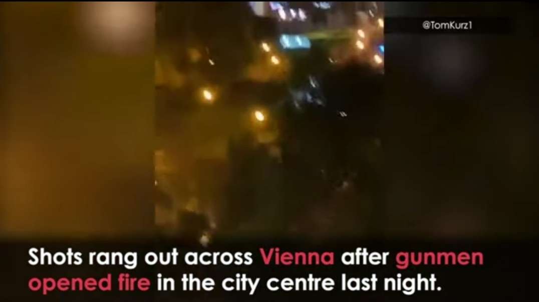 Terror in Vienna- Five Killed in Austrian Capital During Terrorist Shooting Spre.mp4