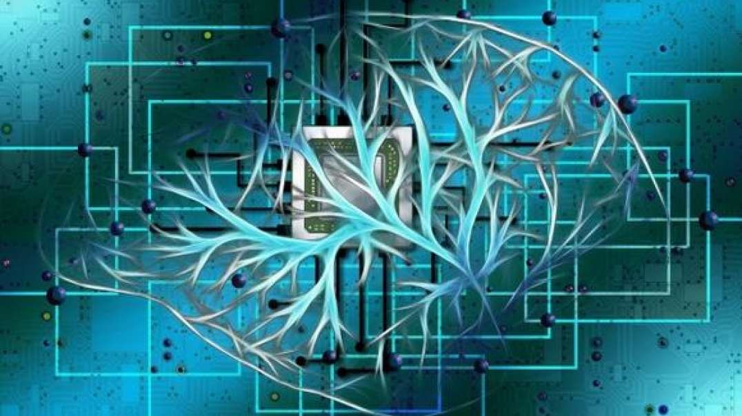 Person OF Interest Exposes Musk's NEUROLINK Years Before Elan Starts His