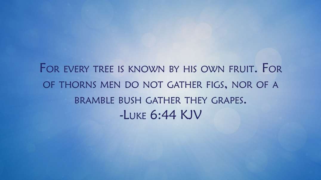 The Tree is Known by His Fruit Preached by Pastor Steven Anderson