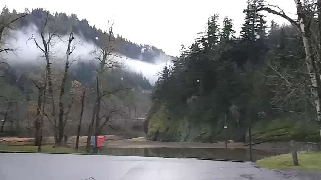 Misty