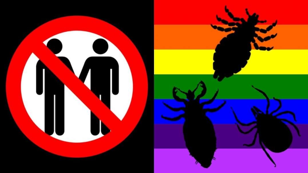 Intestinal Parasites That Result From Homosexuality