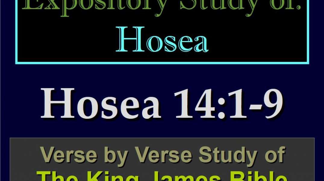 053 Hosea 14:1-9 (Expository Study of Hosea) 1 of 2 11220152623413.mp4
