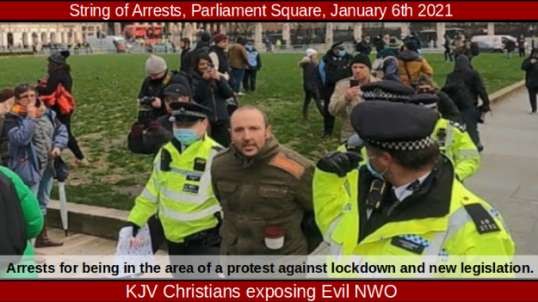 String of Arrests, Parliament Square, January 6th 2021