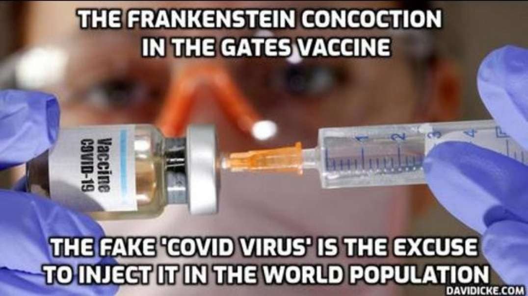 THE FRANKENSTEIN CONCOCTION IN THE GATES VACCINE IS THE FINAL SOLUTION [2020-12-31] - CELESTE SOLUM (VIDEO)