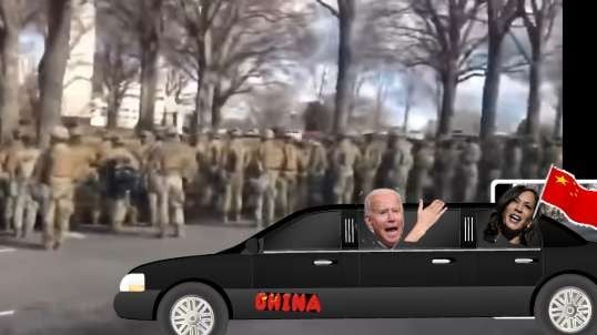 BIDENS AMERICA