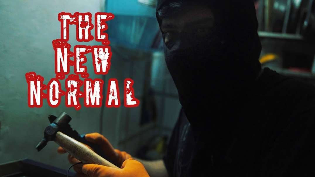 The New Normal, Documentary~What the 1% Has to Gain & What We Are About to Lose