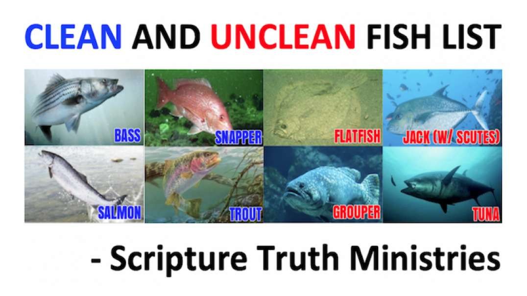 CLEAN AND UNCLEAN FISH LIST