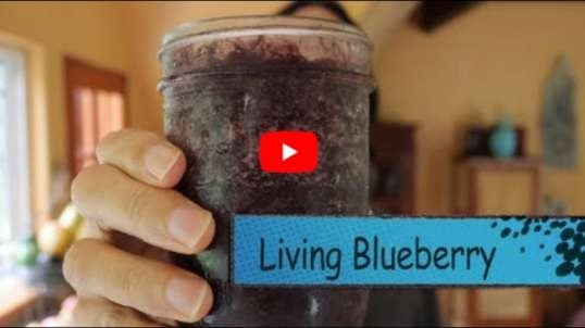 🌿 Living Blueberry Greens - Make this Easy Smoothie 🙌