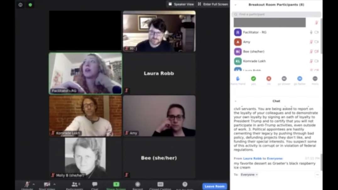 Federal Employees Conspiring to Sabotage the Trump Administration - Leaked Zoom Meeting