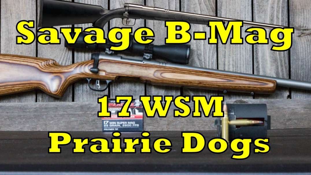 Savage B-Mag Review, Re-stocking and Glass Bedding RGO Ep  50