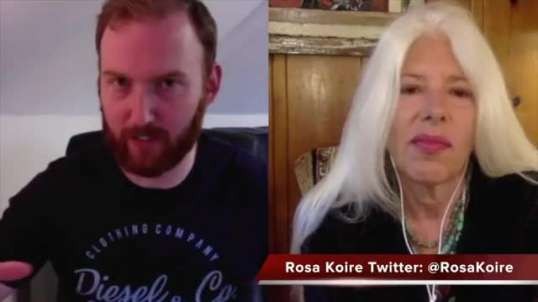 ROSA KOIRE EXPLAINS AGENDA 21 & THE GREAT RESET [2020-12-20] - DAVE CULLEN (VIDEO)