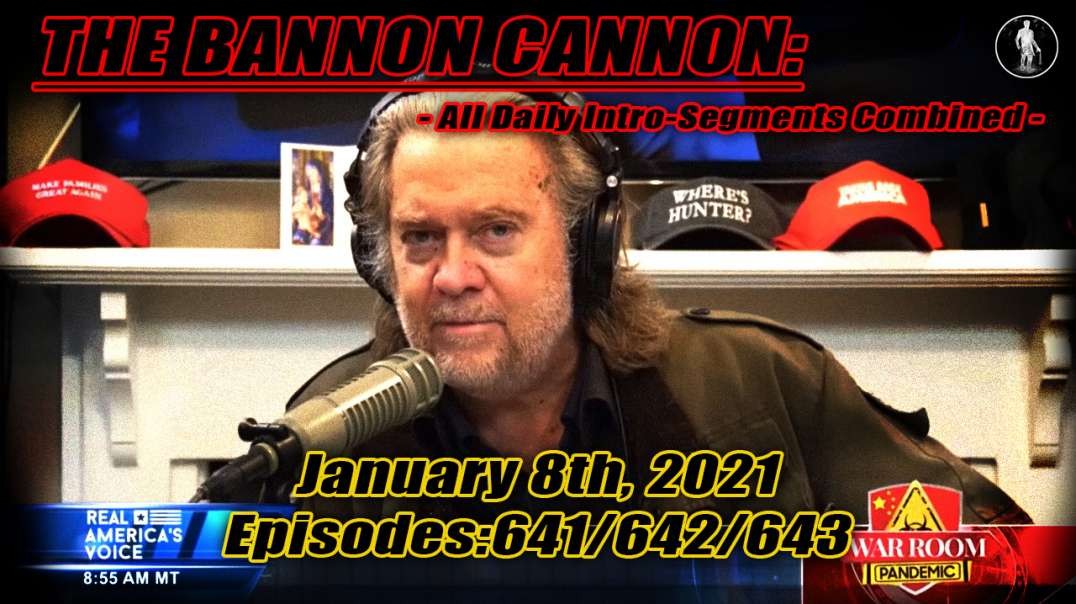 The Bannon Cannon: All WRP Daily Intro-Segments Combined - January 8th 2021