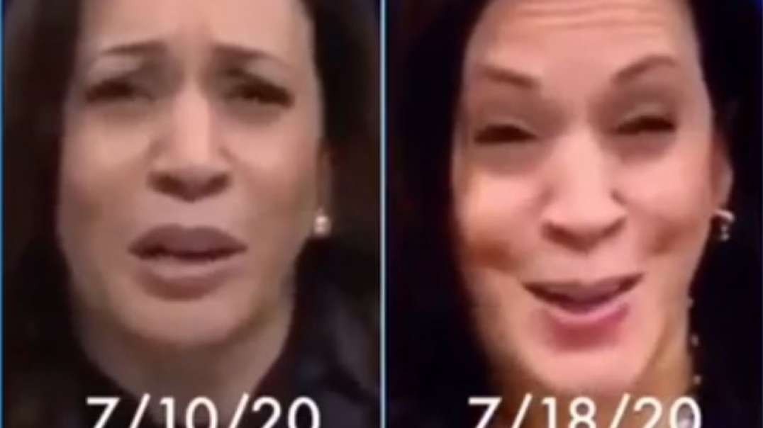 Vice President Kamala Harris is a FUCKING CLONE and has BERDERS!!!