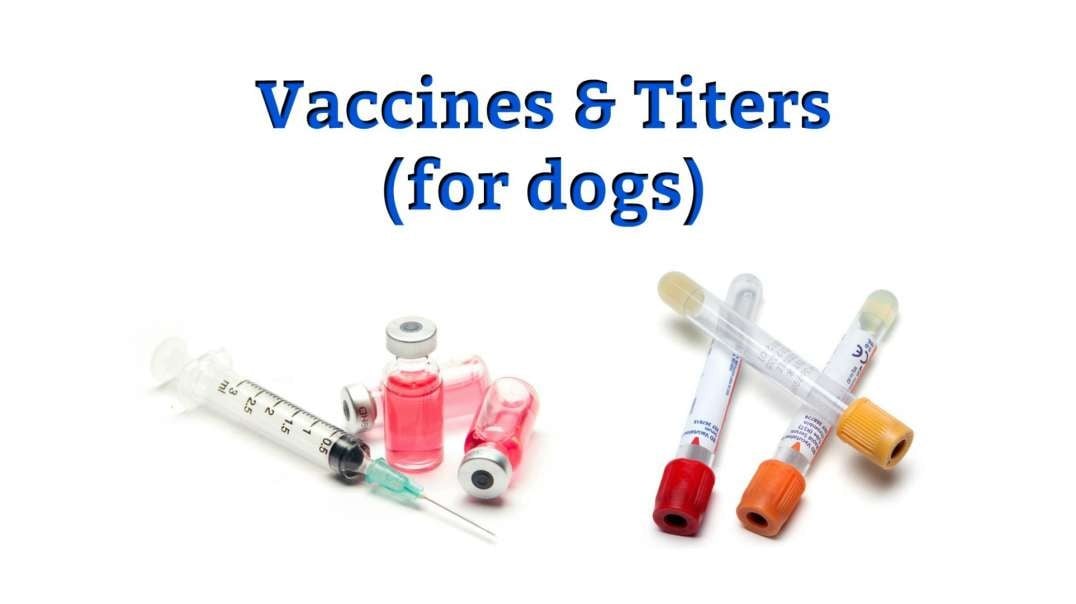 Vaccines And Titers For Dogs