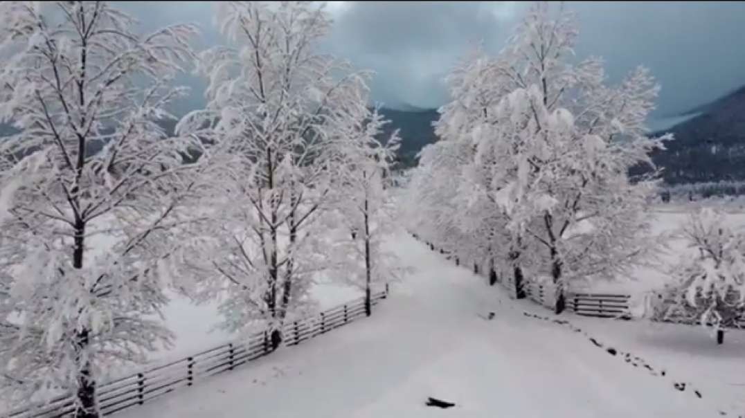 Winter Wonderland Aerial Snow Drone Video - Florence, Montana