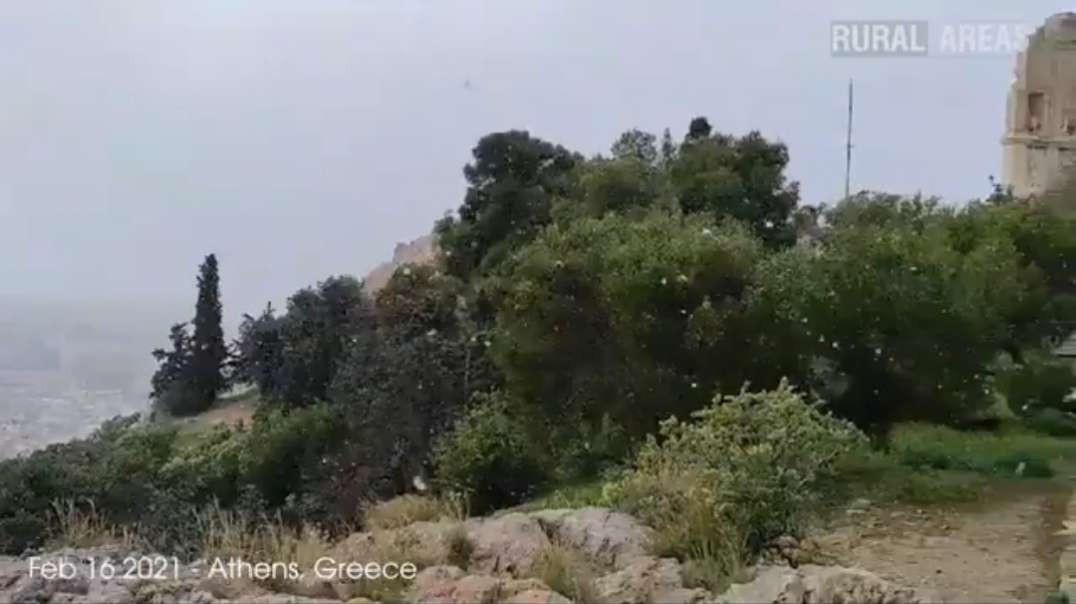 (Feb 16, 2021) Snow Blankets Athens (Greece) Causing Traffic Havoc - Natural dis.mp4