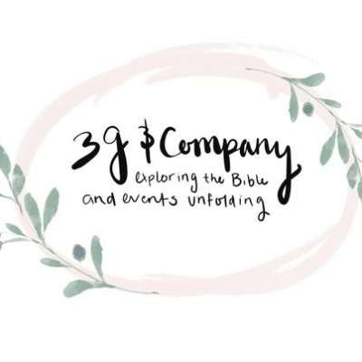 3g and Company 