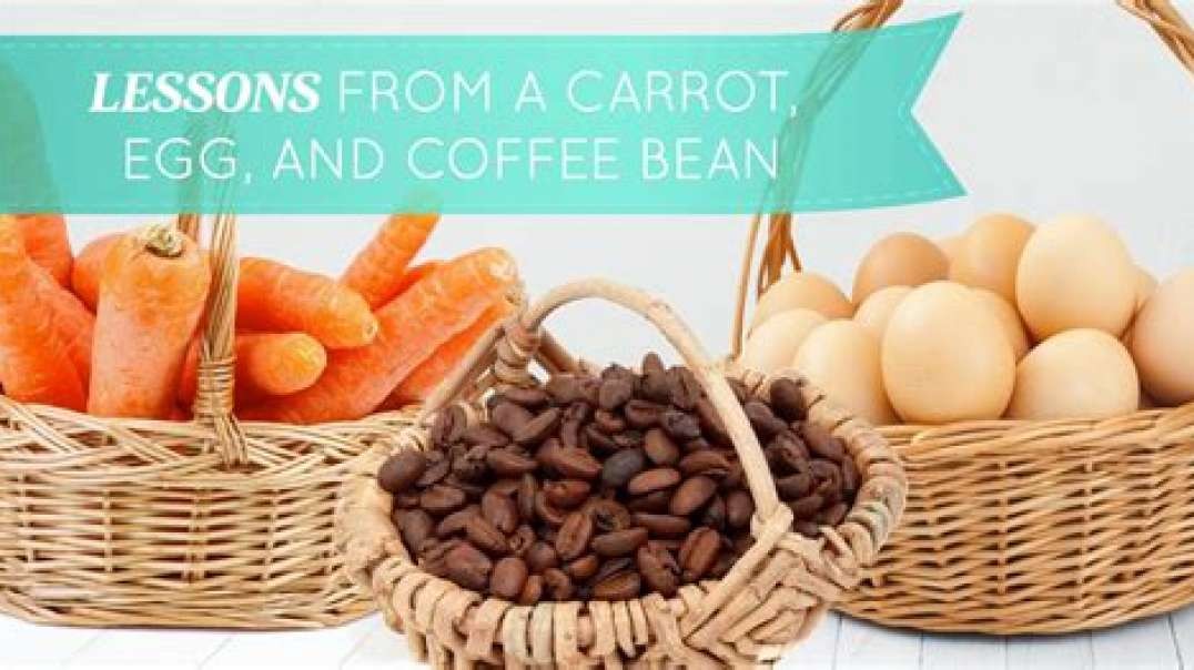 ARE YOU A CARROT, EGG OR COFFEE BEAN?