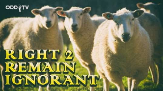 O.D.D TV _ Right 2 Remain Ignorant (feat. Steve Grant)