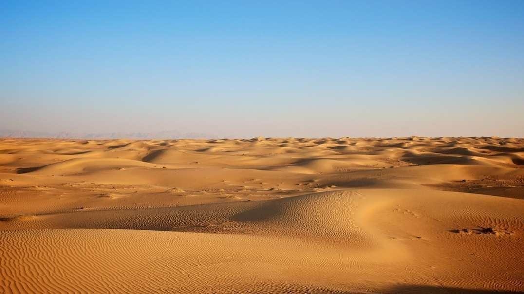 A Voice in the desert - SCAM or not?