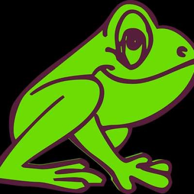 Farting Frogg