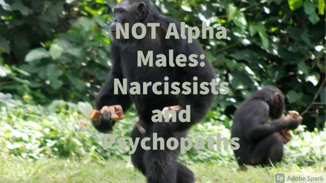 NOT Alpha Males: Just Narcissists and Psychopaths