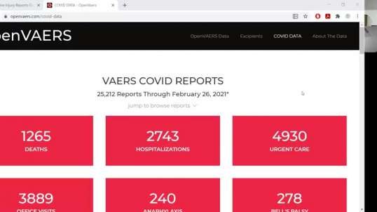 Weekly VAERS Update 1265 Dead 25212 Adverse Reactions openvaerscom