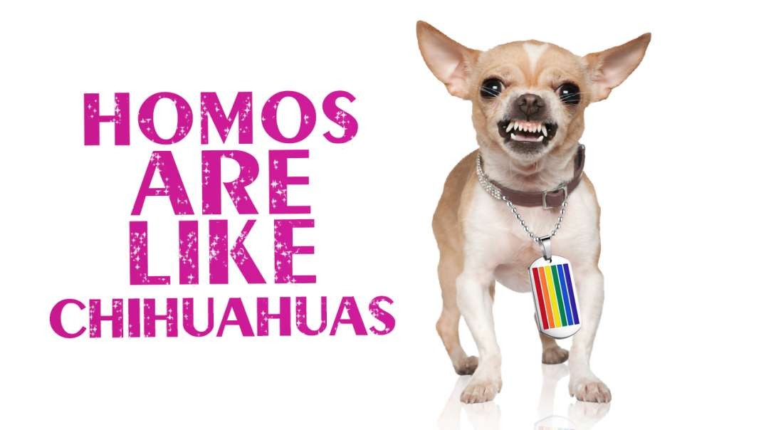 Homos Are Like Chihuahuas