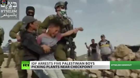 IDF, detained five Palestinians Children for Trespassing on Their Land Stolen from Israel.
