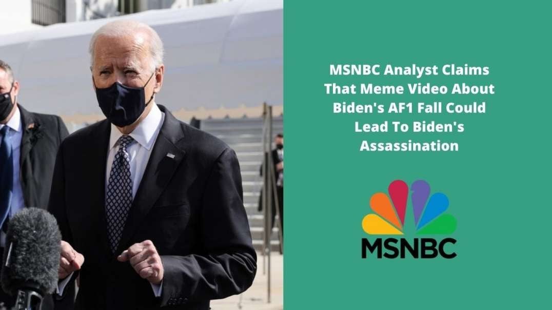 MSNBC Analyst Claims That Meme Video About Biden's AF1