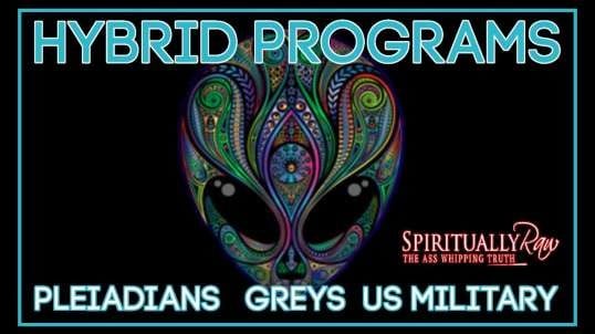 HYBRID PROGRAMS, Pleiadians, Greys, US Military, Boston Children’s Hospital MK-Ultra Project