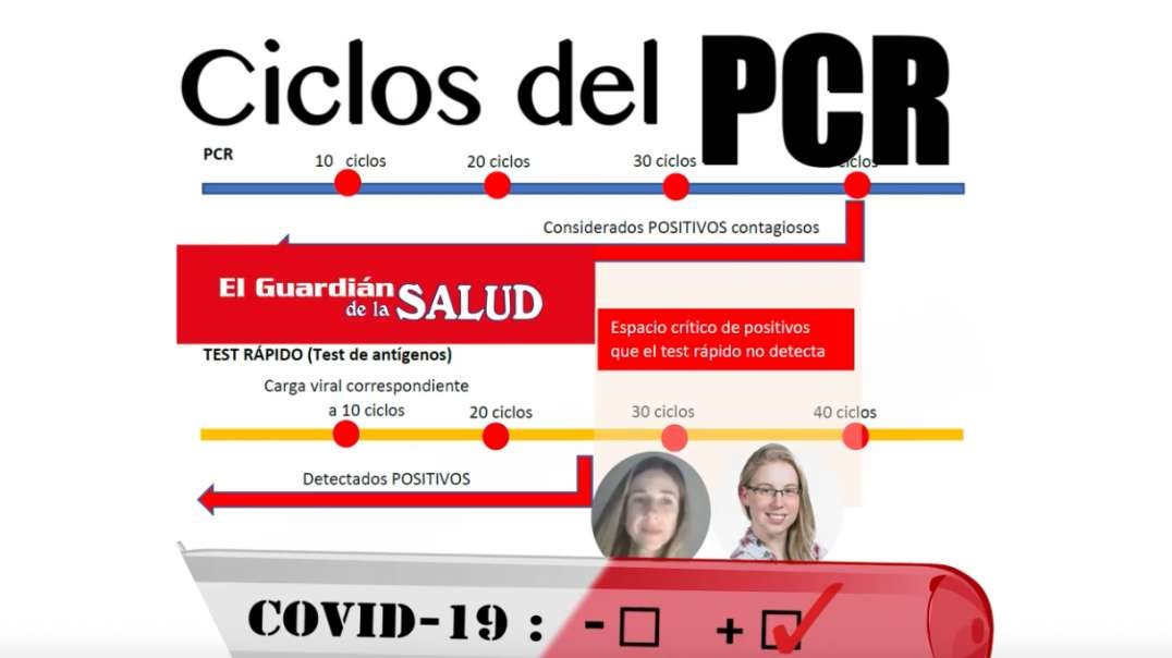 CICLOS DEL PCR