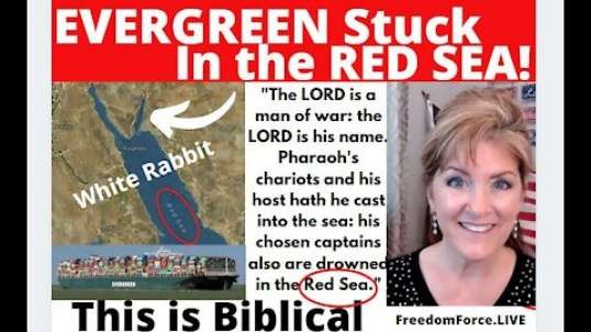 EVERGREEN IS STUCK IN THE RED SEA FOR PASSOVER BIBLICAL WHITE RABBIT FOUND 3-24-21 (Mirror)