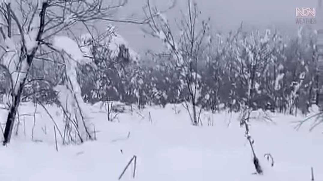 Deadly snowfall leaves thousands of cars trapped in Gangwon, South Korea -  한국의 .mp4