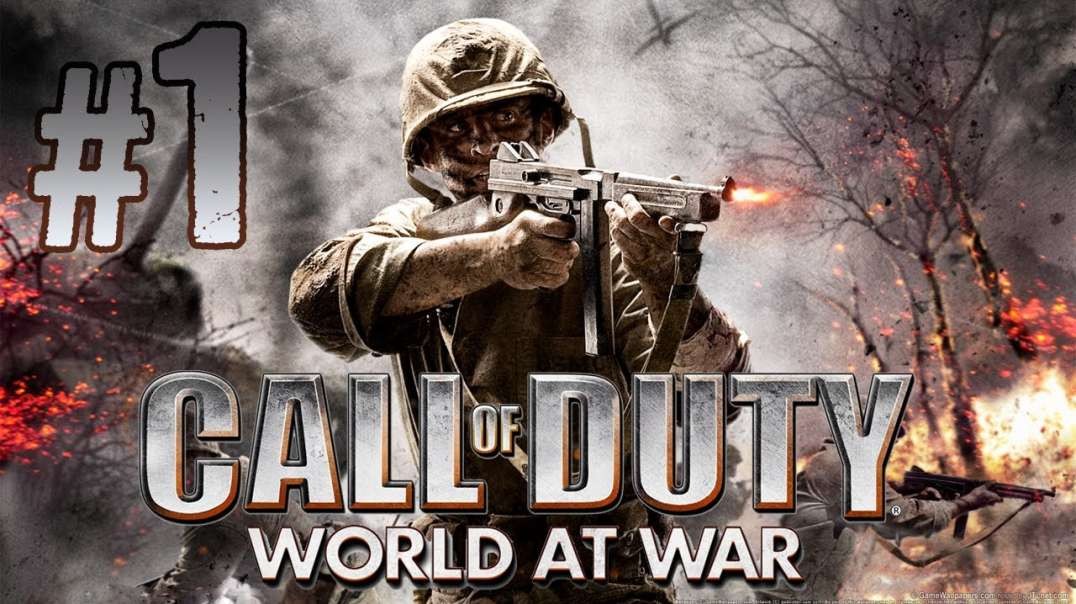 Call of Duty, World at War, solo campaign, PS3 4K Pro - 1of 2