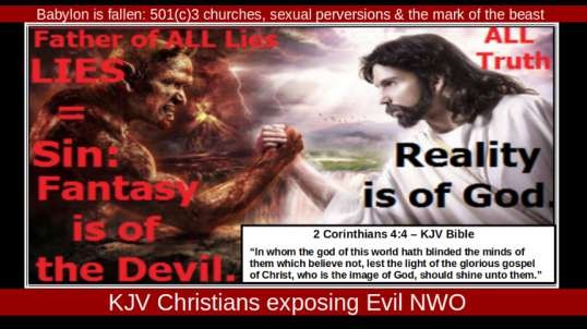 Babylon is fallen: 501(c)3 churches, sexual perversions & the mark of the beast