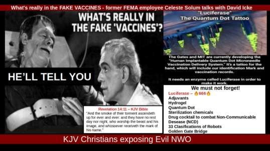 Must-watch: What's REALLY in the fake 'vaccines - former FEMA employee Celeste Solum with David Icke