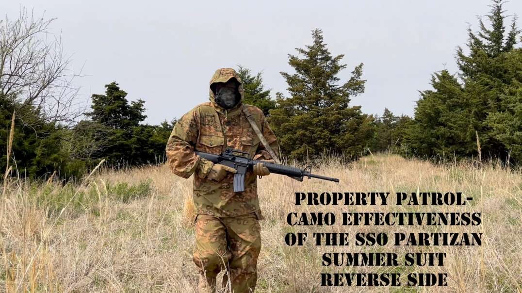 Property Patrol-Camouflage Effectiveness SSO SS LETO PARTIZAN Summer suit Reverse Side