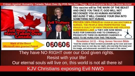 Crimes Against Humanity: Canada Taken Over By POS Neo-Nazi Thugs, And Everyone Is Under House Arrest