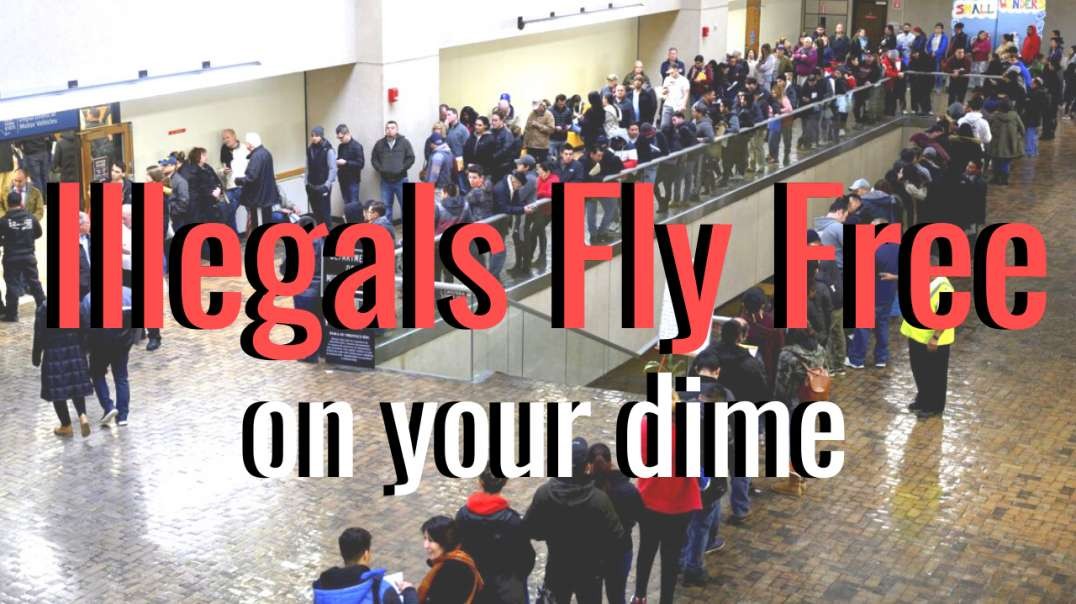 Illegals Fly Free Anywhere They Want to Go on Our Dime!