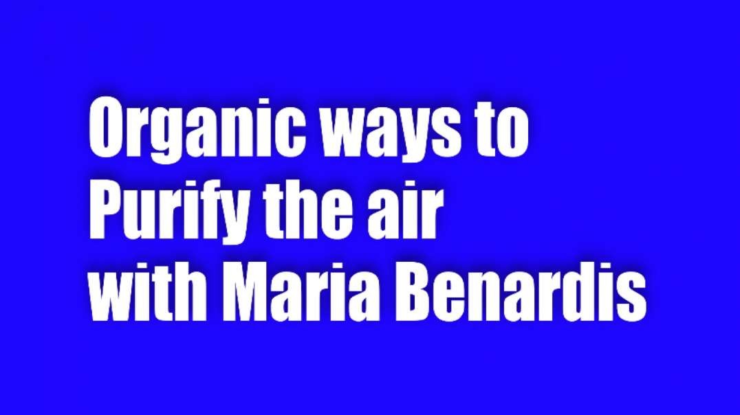 Organic Ways to Purify the Air