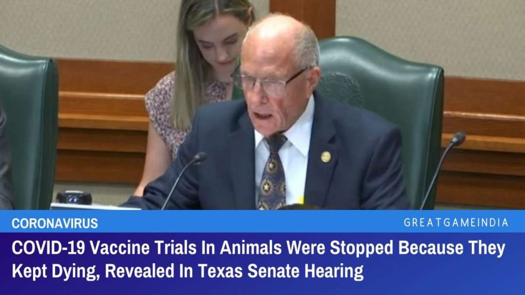 COVID Vaccine Trials In Animals Were Stopped Because They Kept Dying, Revealed In Texas Senate Hearing