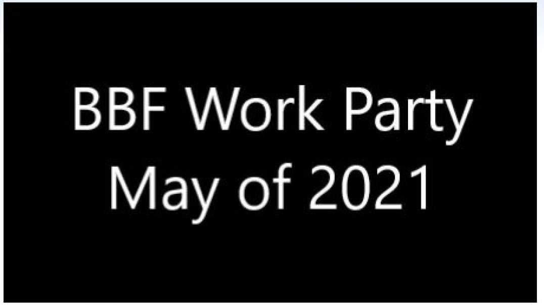 Work Party of May of 2021