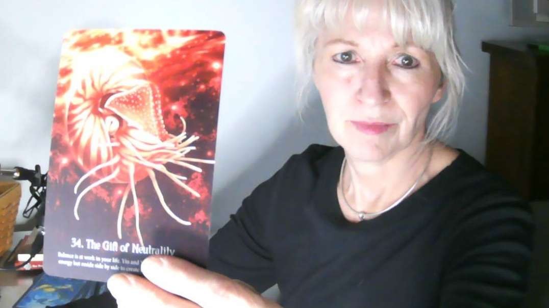 Daily Random Channeled Message - Confirmation of Your Journey