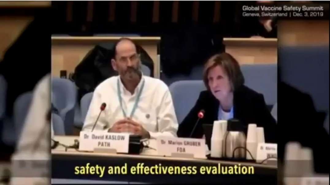 WHO 2019 Speakers Admit Vaccines are not Safe and or Effective Covid-19 Coronavirus Lockdowns Masks.mp4