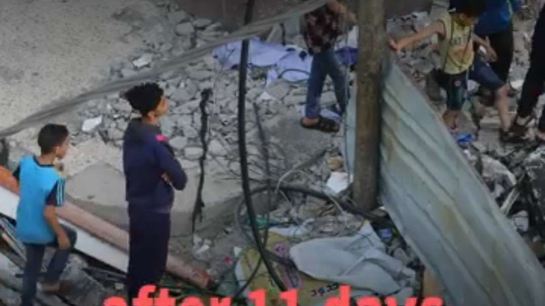 Palestinians celebrate as ceasefire goes into effect over Gaza.mp4