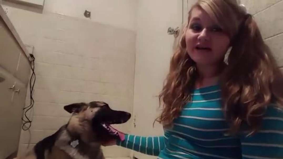 THE NASTIEST GIRL RETURNS ENRAGED WITH MORE REASONS TO HAVE SEX WITH DOGS