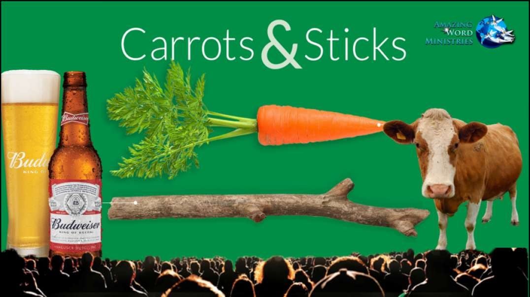 Beer Drunk Carrots&Sticks And Worship The Stupid Cow. Split Divorce&Smokecreen