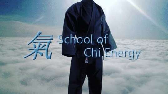 Bioenergy For Health at the School of Chi Energy Heals